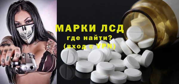 стафф Бородино