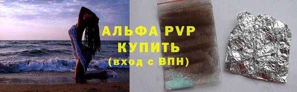стафф Бородино