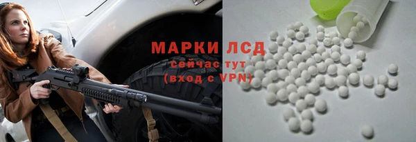 стафф Бородино
