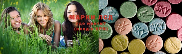 стафф Бородино