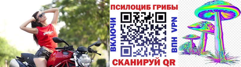 Галлюциногенные грибы Cubensis  Купить где  Всеволожск 
